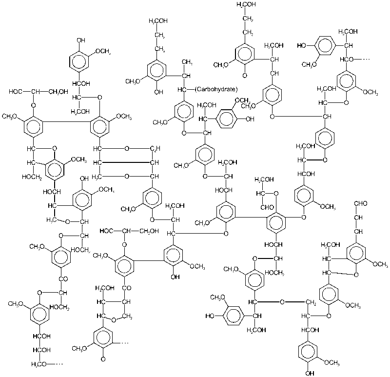 Entnommen von Wikipedia